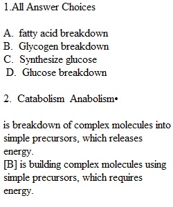 Quiz 8